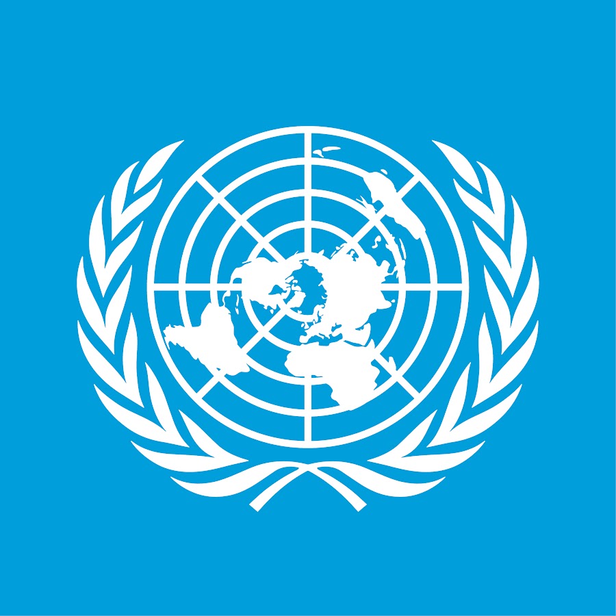 UN logo